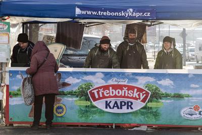 prodej vanočních kaprů